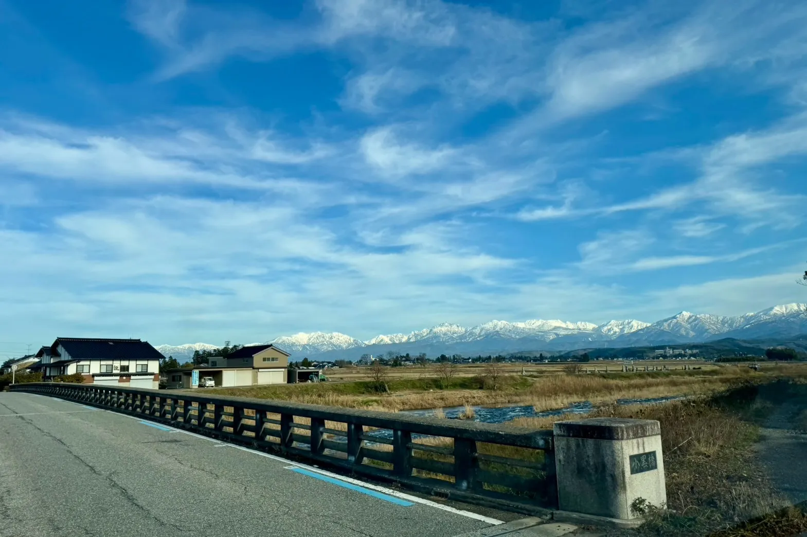 🎍新年のご挨拶🎍